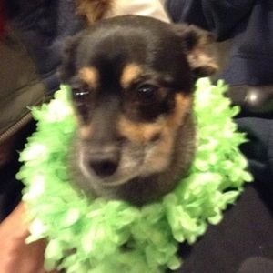 Meet your Posher, Orly